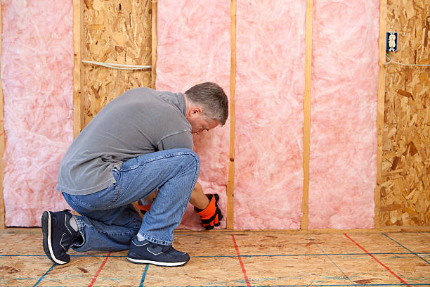 Best Commercial Insulation in North Zanesville, OH
