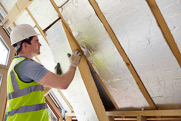 Best Insulation Maintenance and Repair in North Zanesville, OH